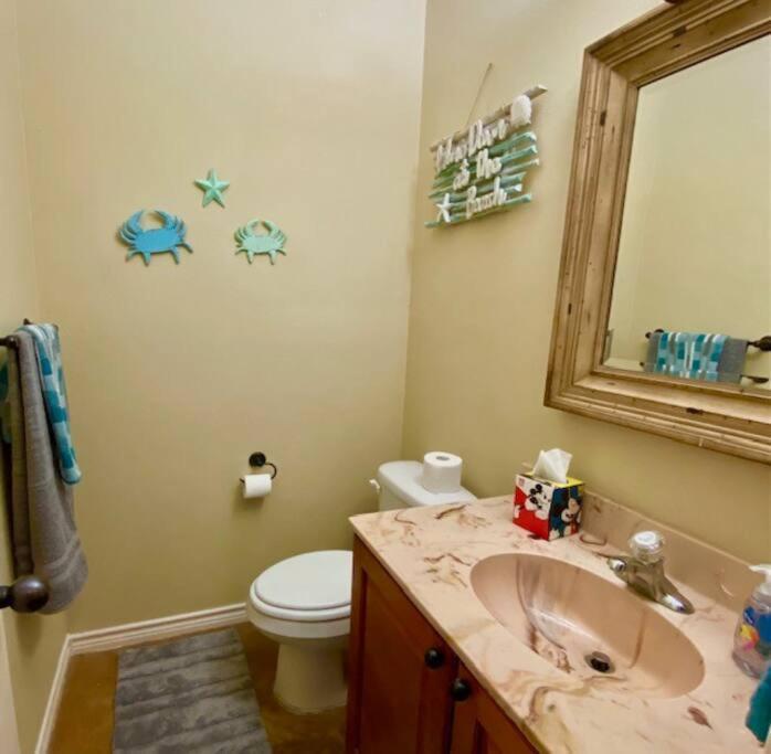 Cozy Coastal Appartement Corpus Christi